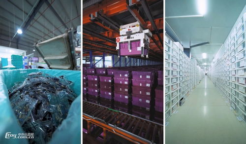 国内最大积木工厂 自主品牌崛起，5年内产能或比肩乐高